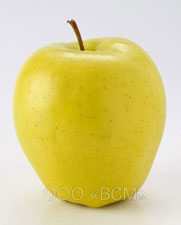 Череп в форме яблока