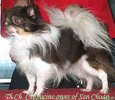 Cappucino ower of San Chuan