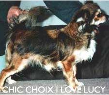 Chic Choix I Love Lucy