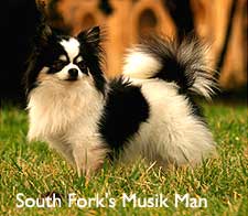 South Fork's Musik Man