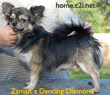 Zzman`s Dancing Diamond